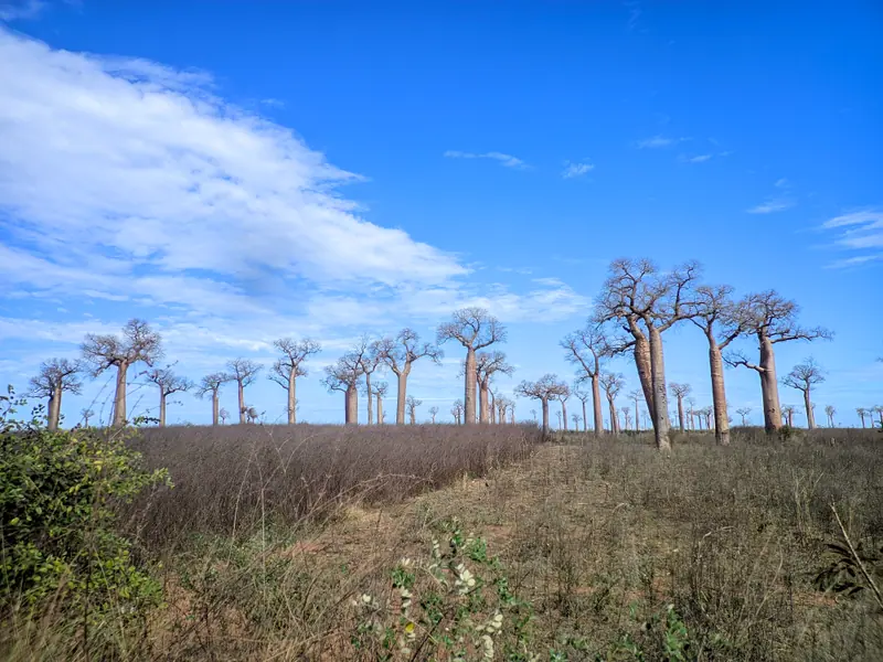 Photo from a KiriTour trip in Madagascar