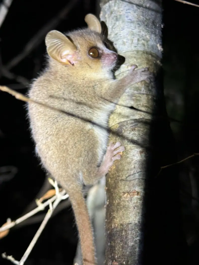 Photo from a KiriTour trip in Madagascar