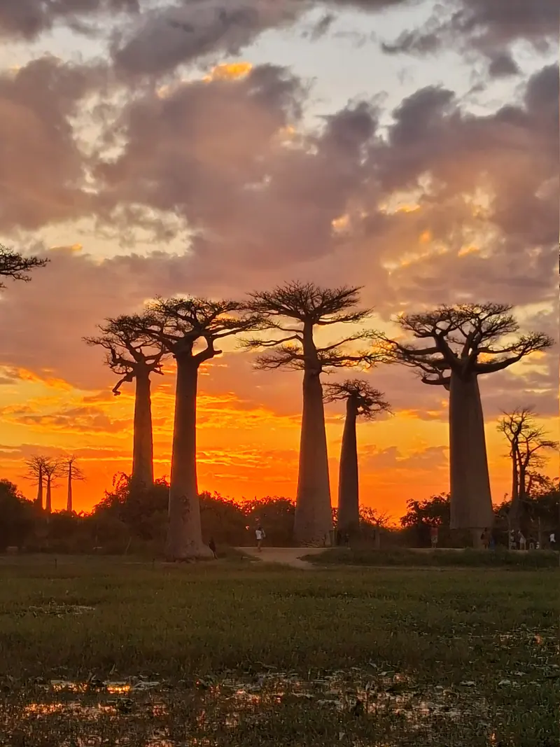 Photo from a KiriTour trip in Madagascar