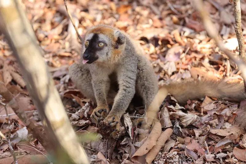 Photo from a KiriTour trip in Madagascar