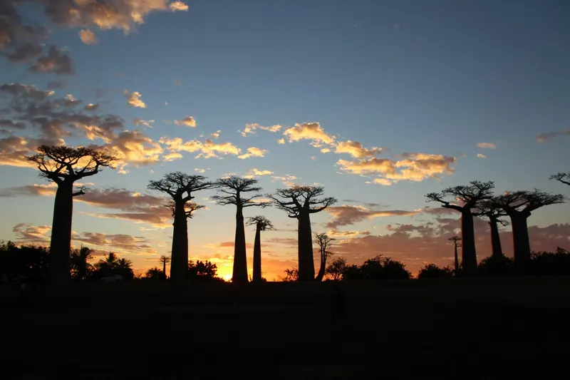 Photo from a KiriTour trip in Madagascar