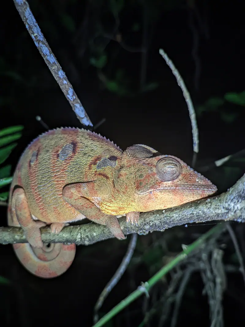 Photo from a KiriTour trip in Madagascar