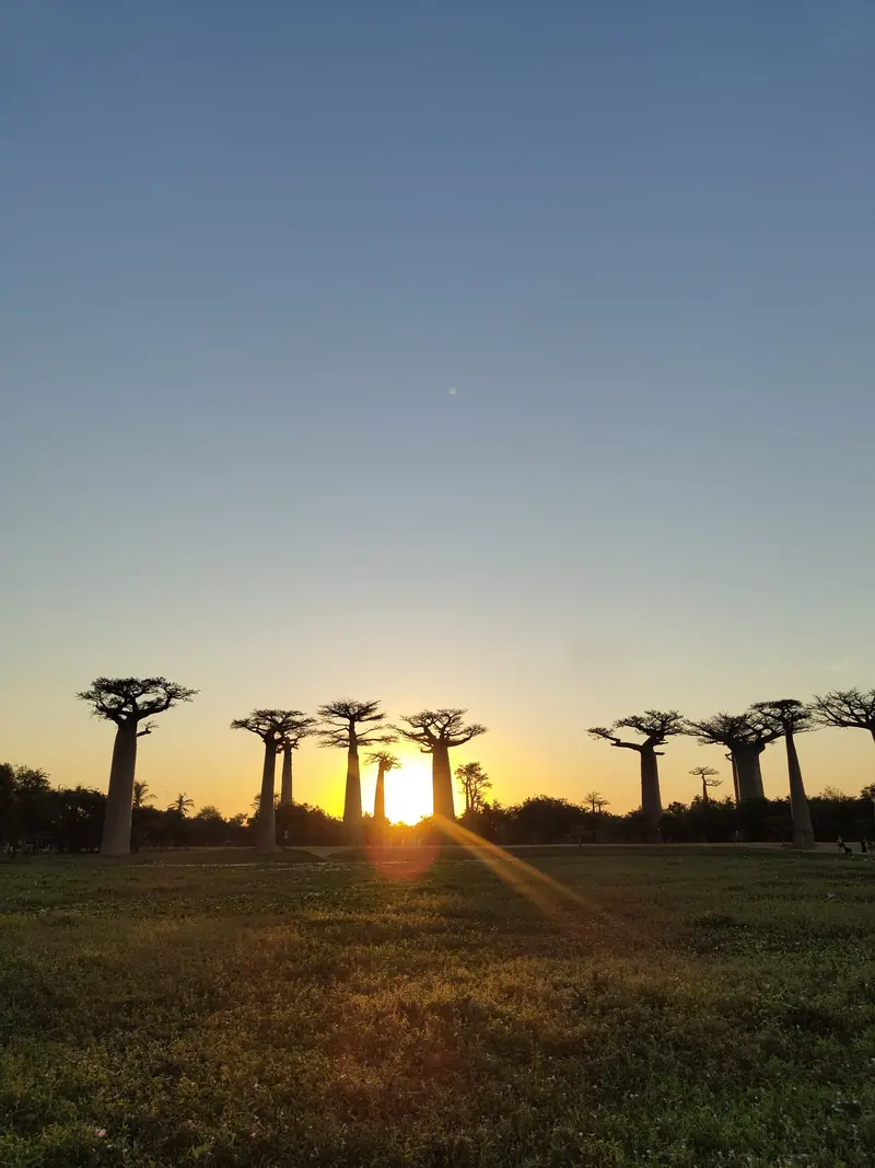 Photo from a KiriTour trip in Madagascar