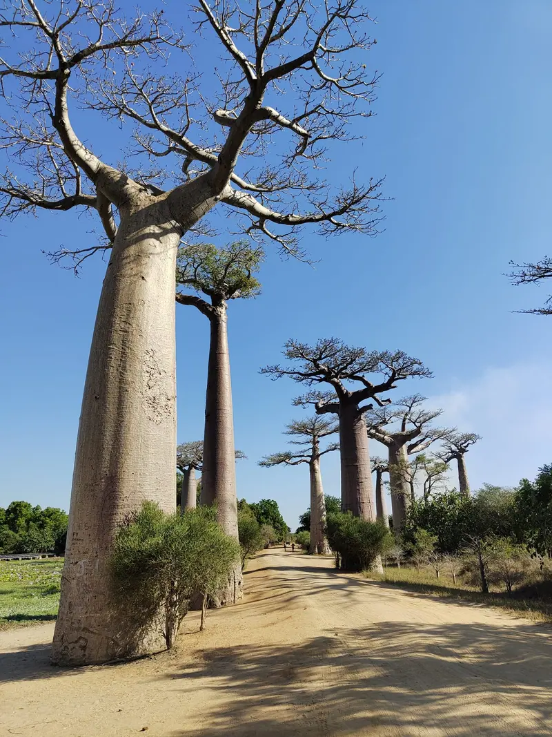 Photo from a KiriTour trip in Madagascar