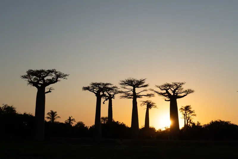 Photo from a KiriTour trip in Madagascar