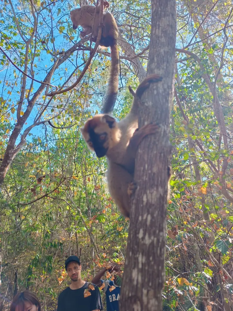 Adventure Highlights