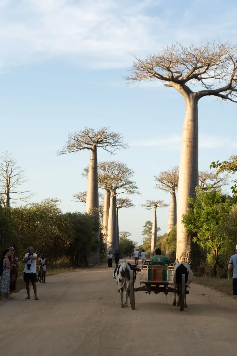 Photo from a KiriTour trip in Madagascar