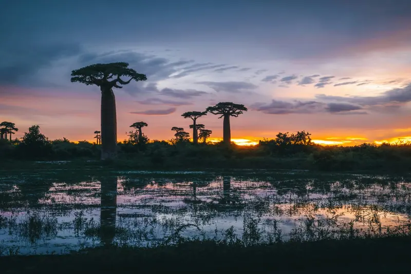 Photo from a KiriTour trip in Madagascar
