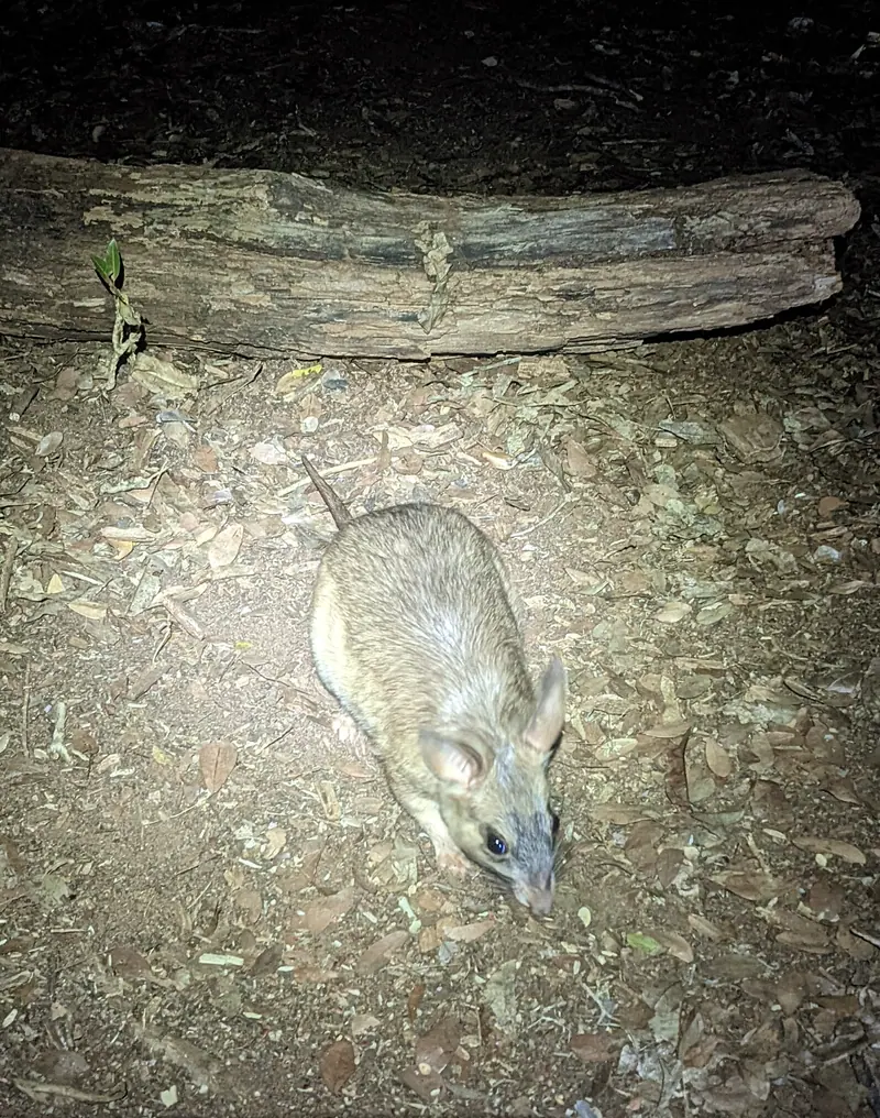 Photo from a KiriTour trip in Madagascar