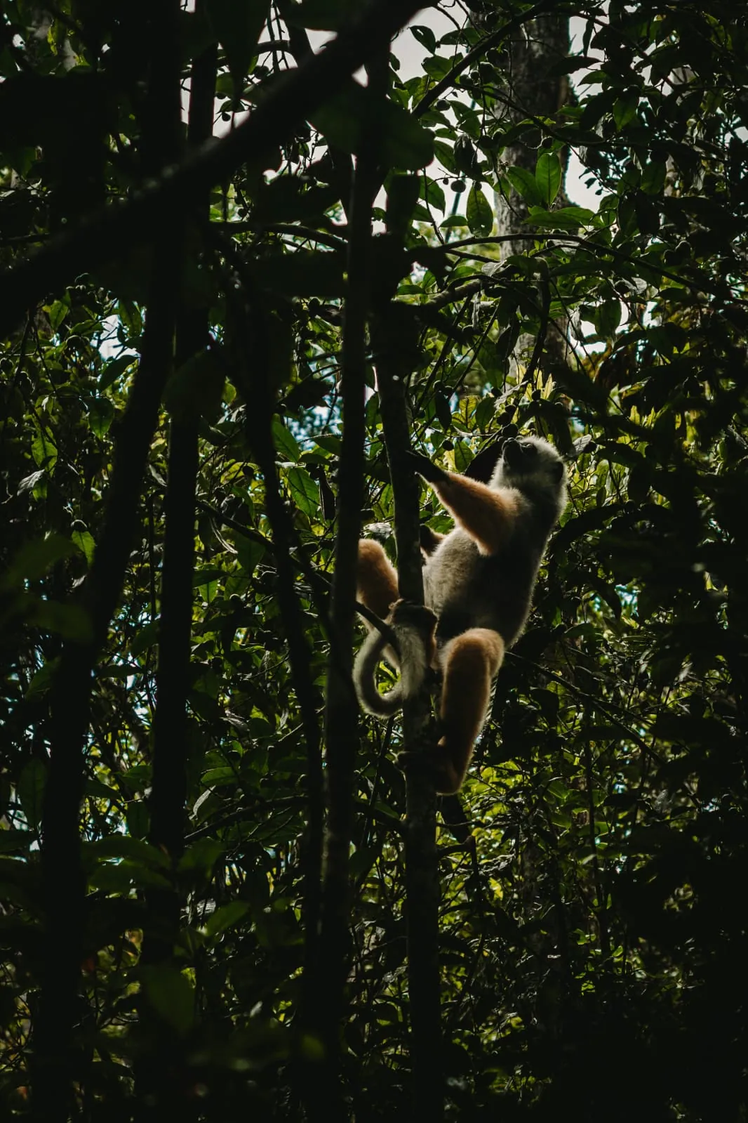 Photo from a KiriTour trip in Madagascar