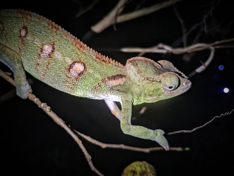 Photo from a KiriTour trip in Madagascar