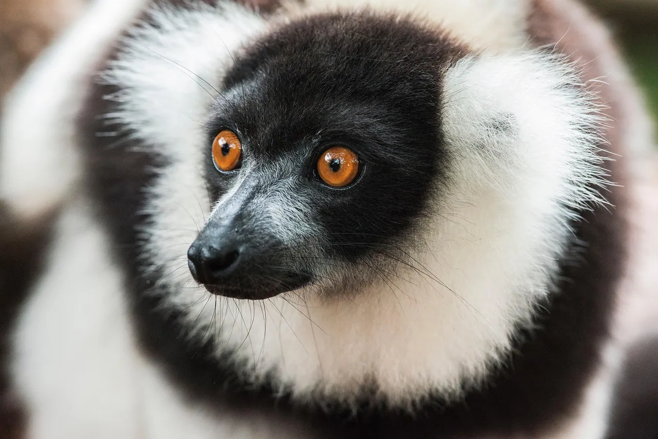 Photo from a KiriTour trip in Madagascar