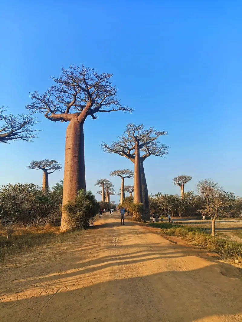 Photo from a KiriTour trip in Madagascar