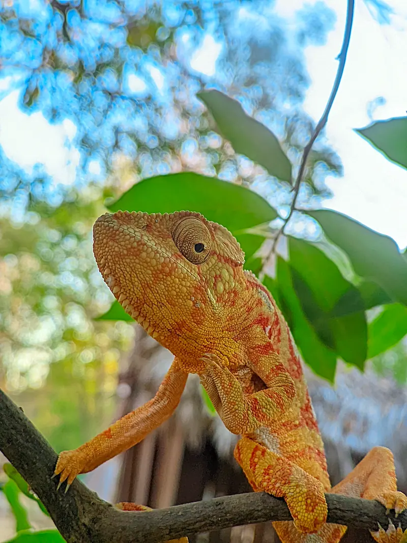 Photo from a KiriTour trip in Madagascar