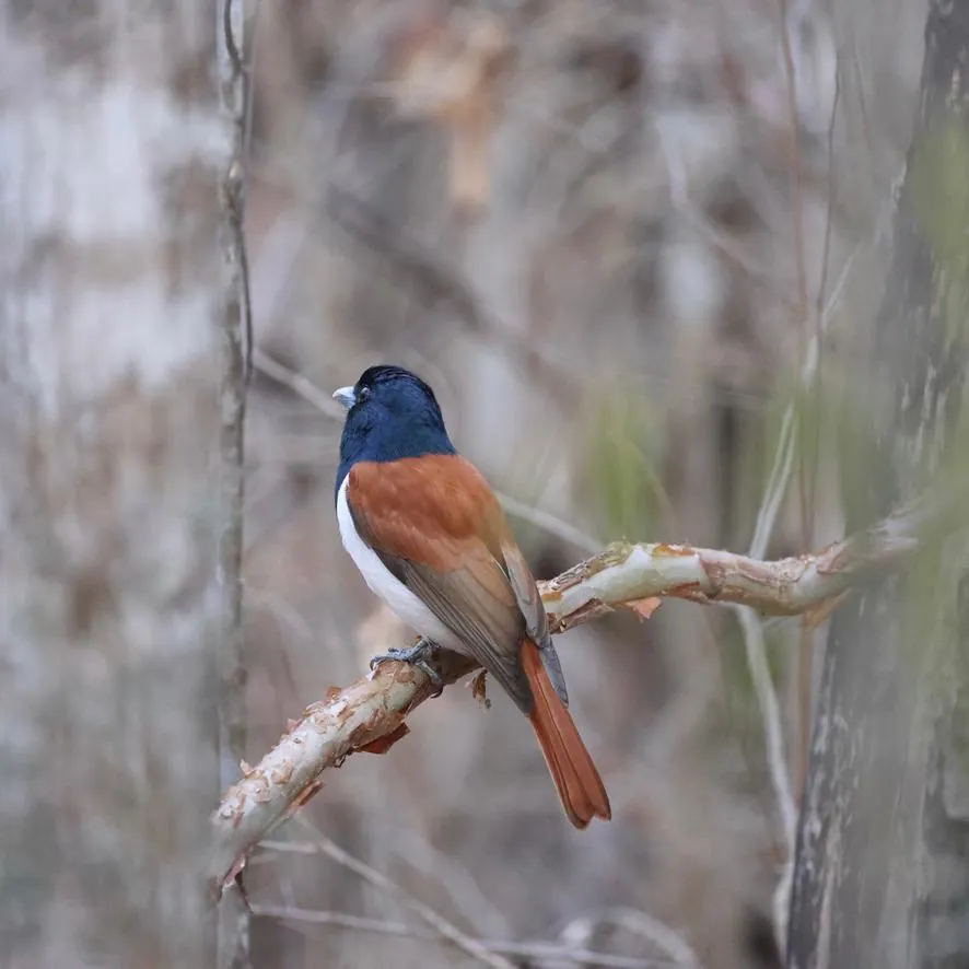Photo from a KiriTour trip in Madagascar